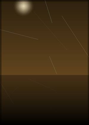 郑星星