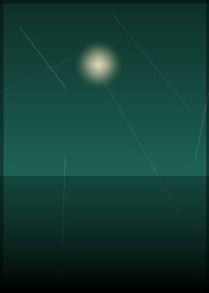 林又又