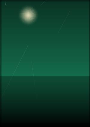金海淑
