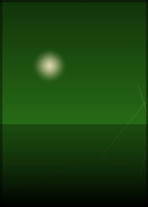 星择