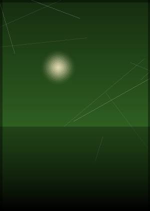 金炜