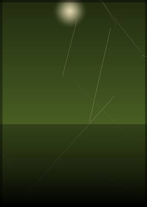 尔