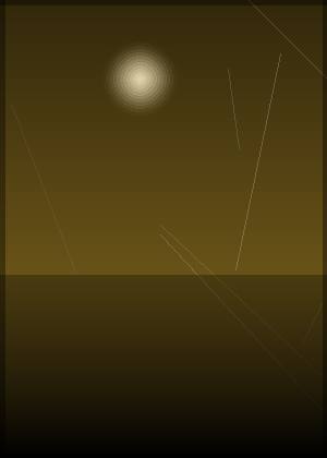 仲星火