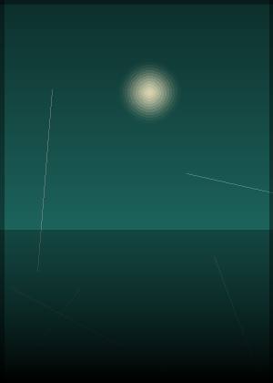 阮浩棕