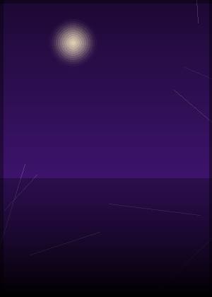 星靖洋